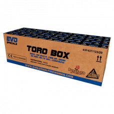 EVOLUTION FIREWORKS TORO BOX 108 SHOTS 25MM